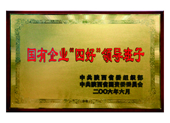 2006年获“国有企业四好领导班子”荣誉称号